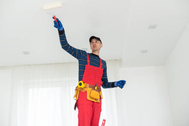 Professional Drywall and Painting Service in Lincolnia, VA